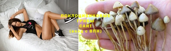 бошки Баксан
